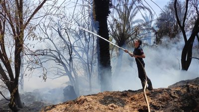 إخماد حريق كبير في مزرعة نخيل وحظيرة بالوادي الجديد| صور