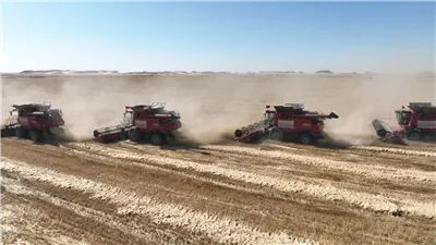 القاهرة 24 داخل ملحمة توشكى.. أن تزرع المستقبل بضربة فأس