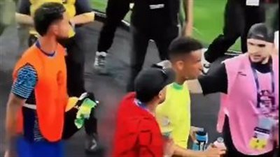 بعد تعادل البرازيل.. نيمار يتدخل لفض اشتباك بين مشجع ودانيلو| فيديو