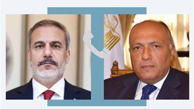 وزير الخارجية ونظيره التركي يؤكدان ضرورة التوصل لوقف فوري ودائم لإطلاق النار في غزة