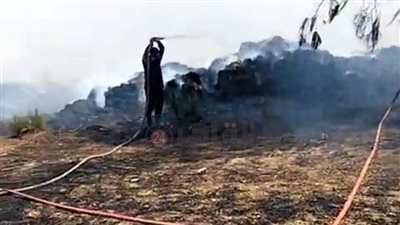 الدفع بـ9 سيارات إطفاء.. اندلاع حريق داخل مصنع كتان في زفتى بالغربية