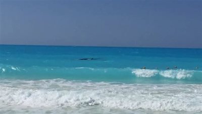 أمواج تصل لـ 2 متر.. تحذير للمصيفين بالإسكندرية والساحل ومطروح من نزول البحر الأسبوع المقبل