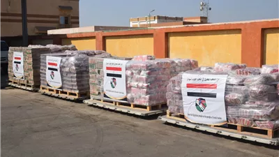 بتوجيهات السيسي.. مصر ترسل أطنان مساعدات إنسانية ومواد إغاثة لجنوب السودان