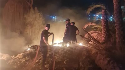 حريق كبير بمزرعة نخيل بمنطقة 
