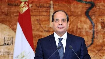 السيسي يستقبل وزير الخارجية لمتابعة التقرير التنفيذي للاستراتيجية الوطنية لحقوق الإنسان