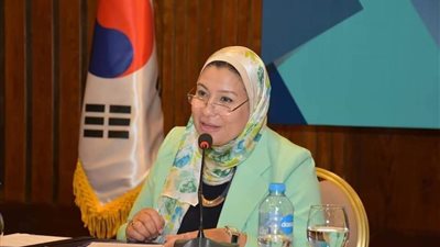 وزير التعليم العالي يصدر قرارًا بندب الدكتورة سلوى رشاد أمينًا لمجلس الجامعات الأجنبية