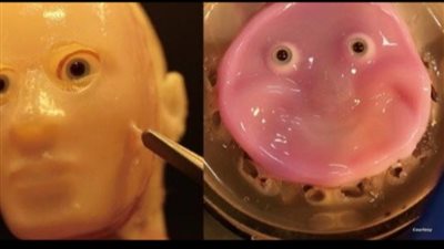 بجلد بشري.. علماء يطورون روبوتات قادرة على تقليد الانفعالات الإنسانية