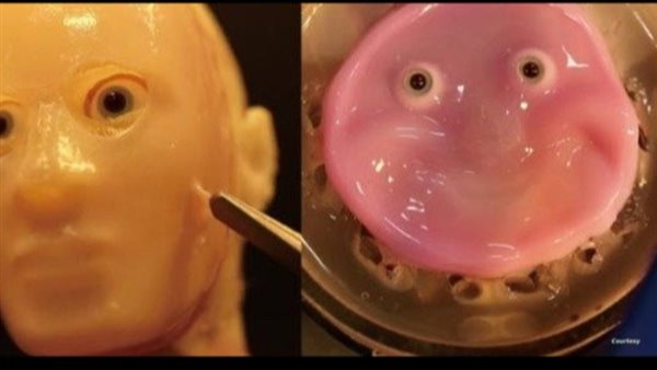 روبوت بجلد بشري من