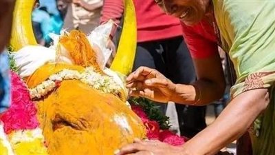 خلال تجمع ديني للهندوس.. حادث تدافع يودي بحياة أكثر من 60 شخصا في الهند