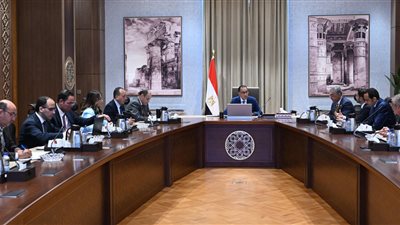 100 مليون دولار استثمارات.. رئيس الوزراء يستعرض 4 مشروعات جديدة مقترحة لتحالف عالمي
