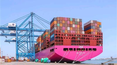 تداول 1576 حاوية و21 سفينة في ميناء دمياط بإجمالي 47 ألف طن بضائع 