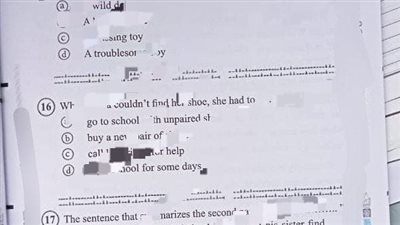 البنطلون والحذاء كلمة السر.. ننشر تفاصيل تصوير مراقب امتحان اللغة الأجنبية بالثانوية العامة ونشرها على جروبات الغش| خاص