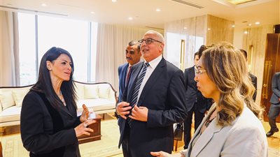 المشاط: دمج وزارتي التخطيط والتعاون الدولي يستهدف جذب الاستثمار وتوطين الصناعة