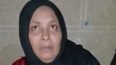 مسنة تستغيث من تعدي مسجل خطر وآخرين على نجلها: أطلق كلابه عليا وعايز يموت ابني