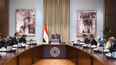 مدبولي: الرئيس السيسي كلف بإسراع دخول قدرات كبيرة من الطاقة المتجددة على الشبكة الكهربائية