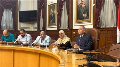 محافظ القاهرة الجديد: مفيش قطع أشجار الفترة المقبلة.. وافتتاح حدائق عامة قريبًا