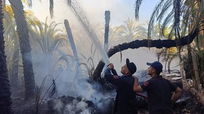  حريق يلتهم مزرعة نخيل.. وإخماد آخر في الوادي الجديد | صور