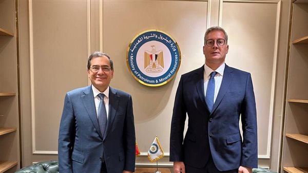 المهندس كريم بدوي