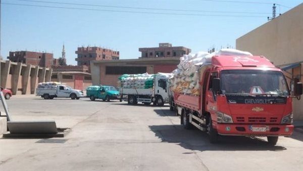 موسم توريد القمح