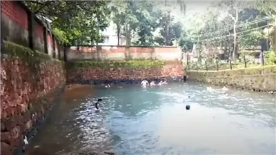 أميبا آكلة للدماغ تقتل مراهقًا بعد سباحته في مياه ملوثة.. ما القصة؟