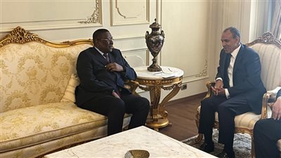 وزير الخارجية يتسلم رسالة إلى الرئيس السيسي من نظيره التشادي