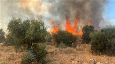 حرائق بأماكن متفرقة شمال إسرائيل بعد تعرضها لقصف صاروخي | صور