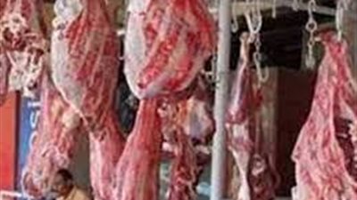 رغم ارتفاع البنزين والسولار.. الزراعة: كيلو اللحوم في منافذنا بـ250 جنيهًا 