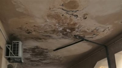 أعضاء نادي الصيد يشكون إدارة النادي إلى رئيس الجمهورية