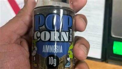 قادمة من تركيا.. جمارك الغردقة تضبط كمية من مخدر الماريجوانا