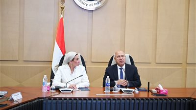 كامل الوزير: لن يتم غلق أو تعطيل عمل أي منشأة صناعية