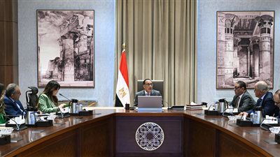 رئيس الوزراء يؤكد استمرار جهود خفض الأسعار خاصة بعد ضبط سعر الصرف