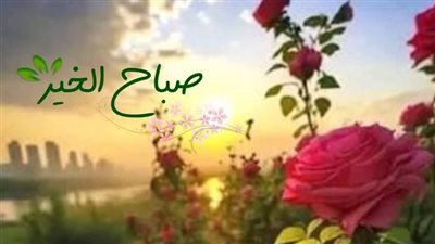 40 صورة صباح الخير جديدة ورسائل.. قولها بطريقة حلوة بهذه العبارات