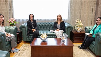 التضامن تبحث إعادة هيكلة المشروعات المنفذة مع الأمم المتحدة للسكان في مصر 