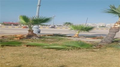 محافظ الإسكندرية يوجه بالبدء في رفع كفاءة الحدائق ومراجعة كافة أعمدة الإنارة بحي وسط