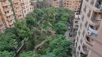 حي الدقي يكشف حقيقة قطع أشجار بالقرب من ميدان هيئة التدريس بالدقي وتحويله لمنطقة كافيهات