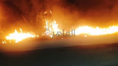 عُقب سيجارة السبب.. حريق يلتهم 7 أفدنة مانجو في الفيوم