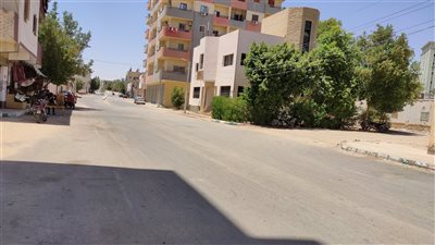 تصل لـ47 درجة.. موجة حارة ورياح ساخنة تضرب الوادي الجديد