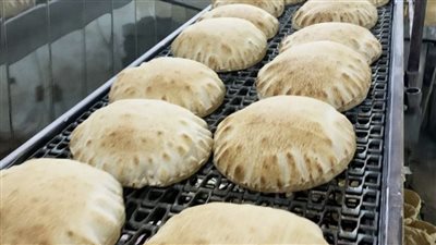 ضبط 22 مخبزًا بلديًا لإنتاجها خبزًا ناقص الوزن خلال حملات تموينية بالبحيرة