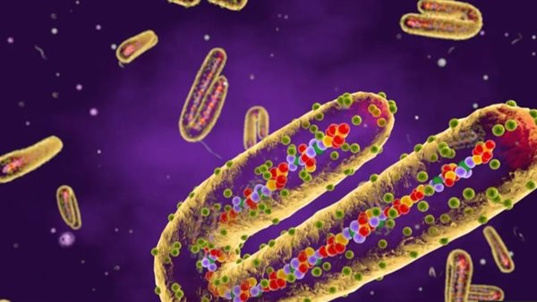 فيروس ماربورغ