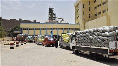 محافظ أسيوط: ارتفاع توريد القمح لـ 194 ألف طن للشون والصوامع ومراكز التجميع