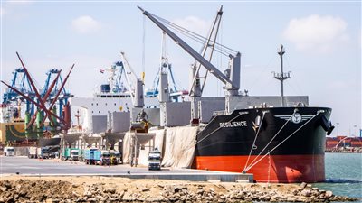 ميناء دمياط يستقبل 6800 طن سكر و1127 رأس ماشية 