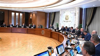 دخول 185 ألف طن فول للموانئ.. تفاصيل الاجتماع الحكومي لمتابعة ضبط الأسواق وأسعار السلع