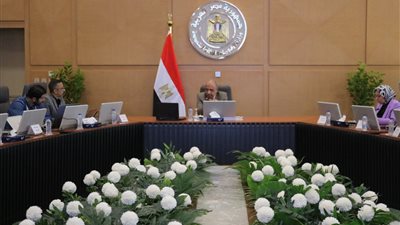 وزير الكهرباء يوجه ببدء تشغيل خط الربط الكهربائي مع السعودية قبل صيف 2025