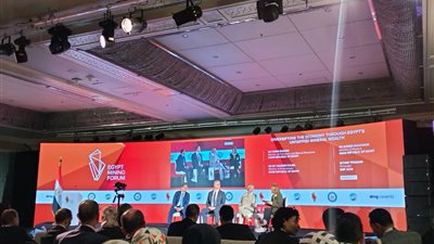 المالية: نضع نظاما يوفر للمستثمرين الربحية ويحدد لنا العوائد