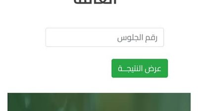 خطوات الحصول على نتيجة الثانوية العامة 2024.. أسهل طريق لمعرفة درجاتك