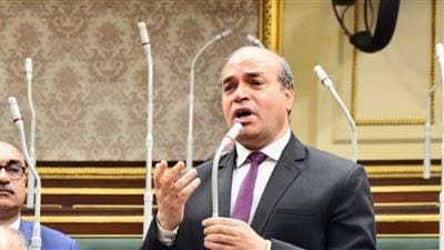 الطبيبة صح.. عضو صحة النواب: محافظ سوهاج حماسه زائد والكشف بالتذكرة رسمي