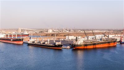 ميناء دمياط يستقبل 4550 رأس ماشية بإجمالي 1495 طنًا