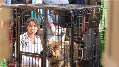 فتاة داخل قفص في سوق الجمعة.. ما القصة؟