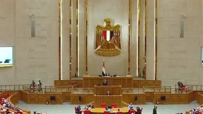 بعد دعوة الرئيس للانعقاد.. عضو القوى العاملة بالبرلمان: العمالة غير المنتظمة ومشاركة المرأة أبرز ملفات النقاش 