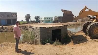 إزالة 18 حالة تعد على أملاك الدولة في الشرقية